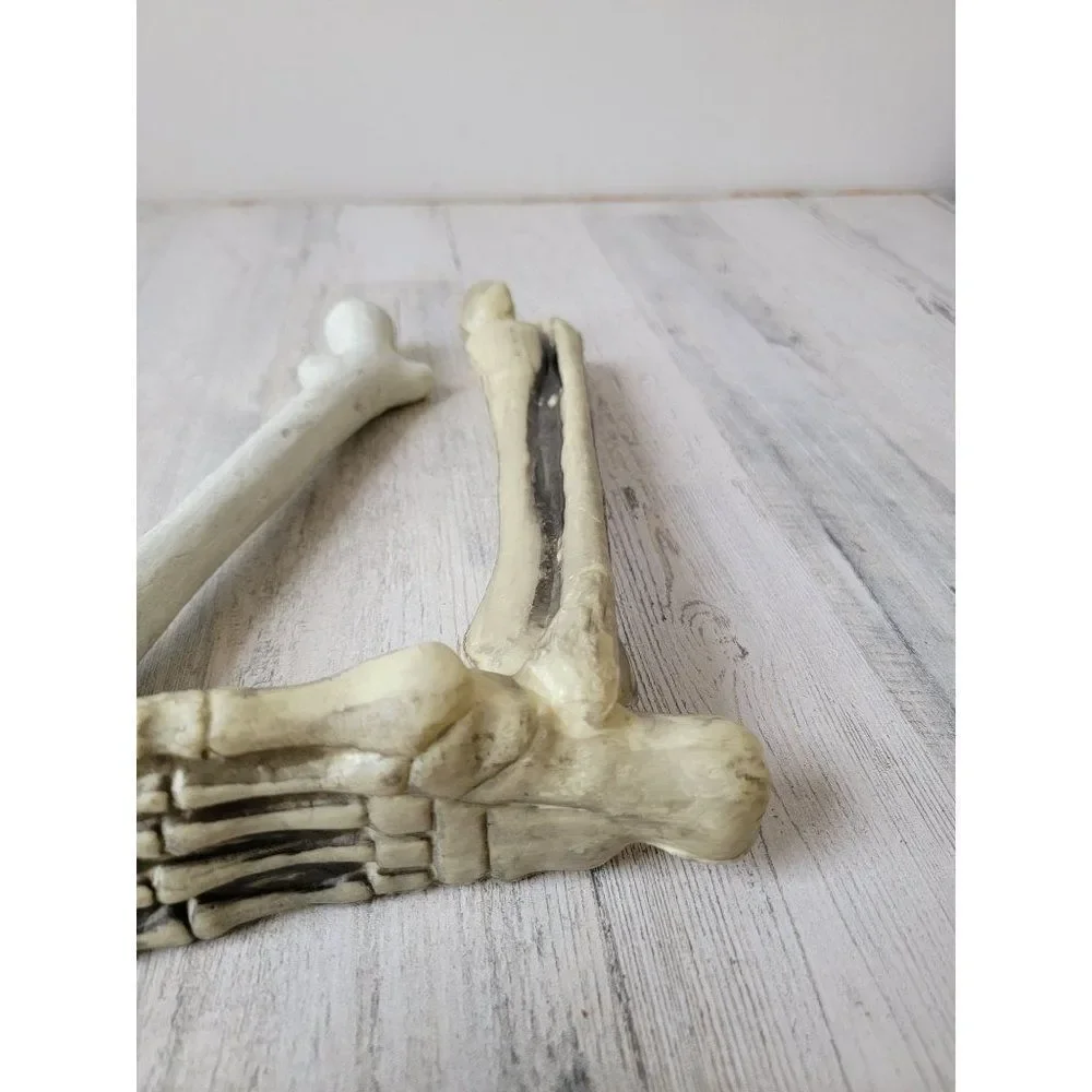 Skeleton leg bone‎ set prop Halloween decor zombie